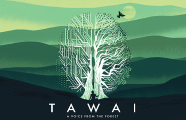 TAWAI_s